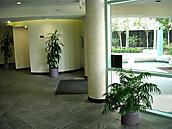 Palmbrook Lobby